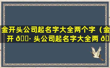 金开头公司起名字大全两个字（金开 🕷 头公司起名字大全两 🐞 个字霸气）